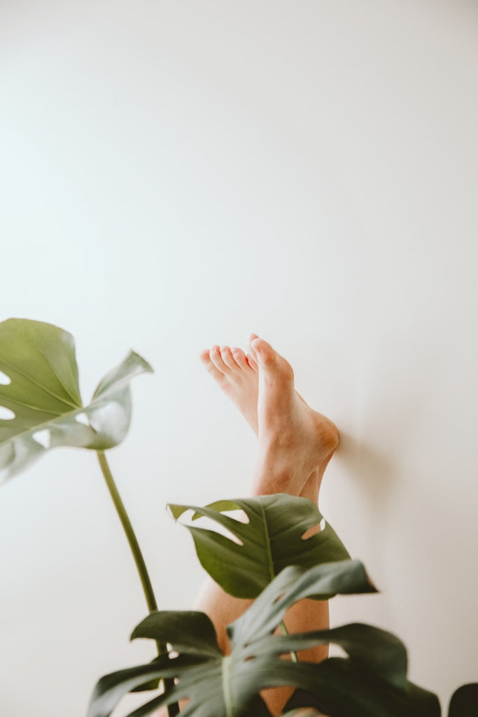 what causes neurapthy in the foot ft image feet up on a white wall with plants