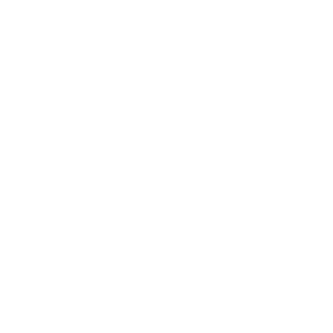 Year Warranty