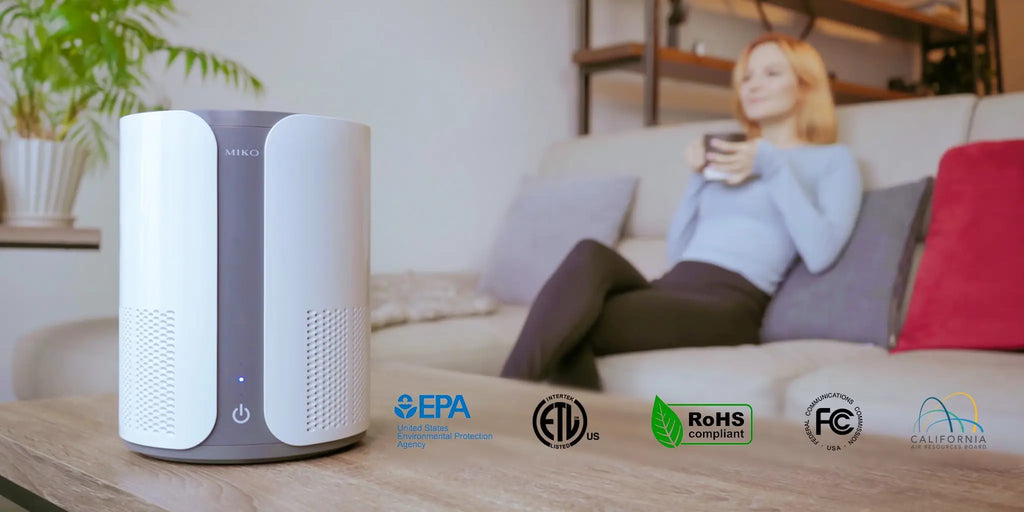 IBUKI EPA approved HEPA air purifier