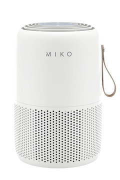 IBUKI Best Air Purifier for Allergies True HEPA Air Purifier