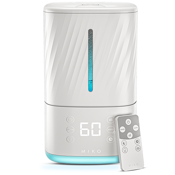Humidifier